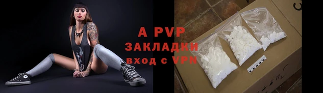 mdpv Каменногорск