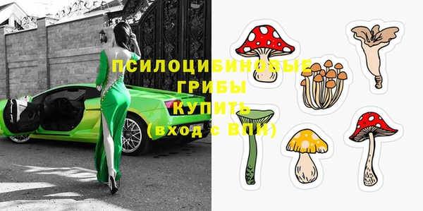 мдпв Каменск-Шахтинский