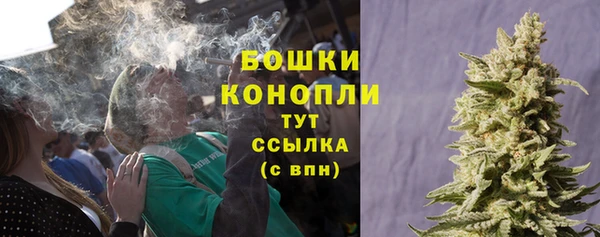 mdpv Каменногорск