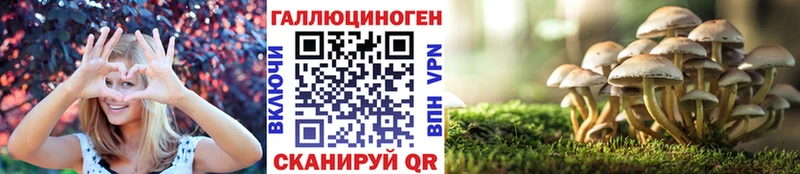 как найти   Нефтекамск  кракен ТОР  Галлюциногенные грибы Psilocybe 